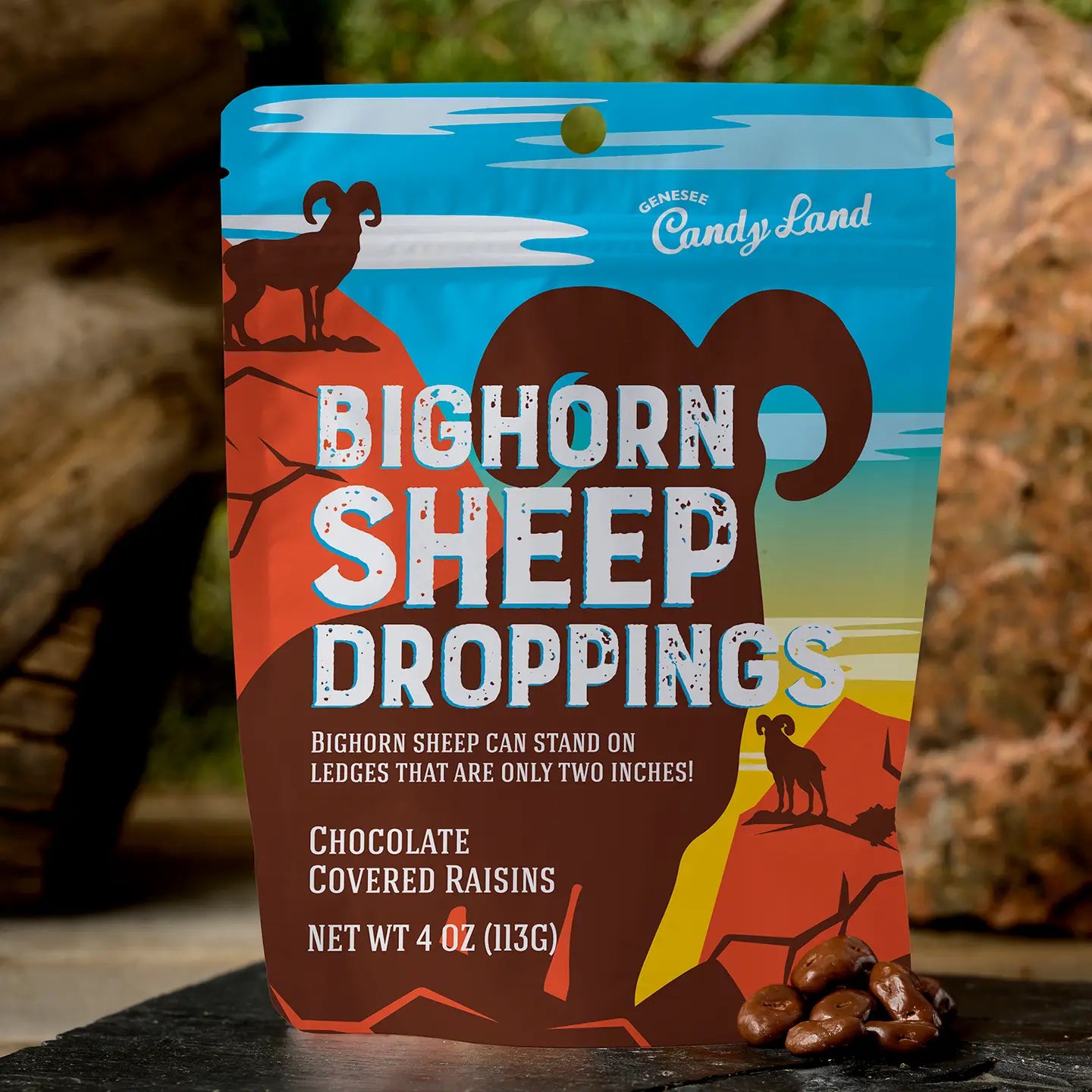 Bighorn Sheep Droppings (Chocolate Covered Raisins)