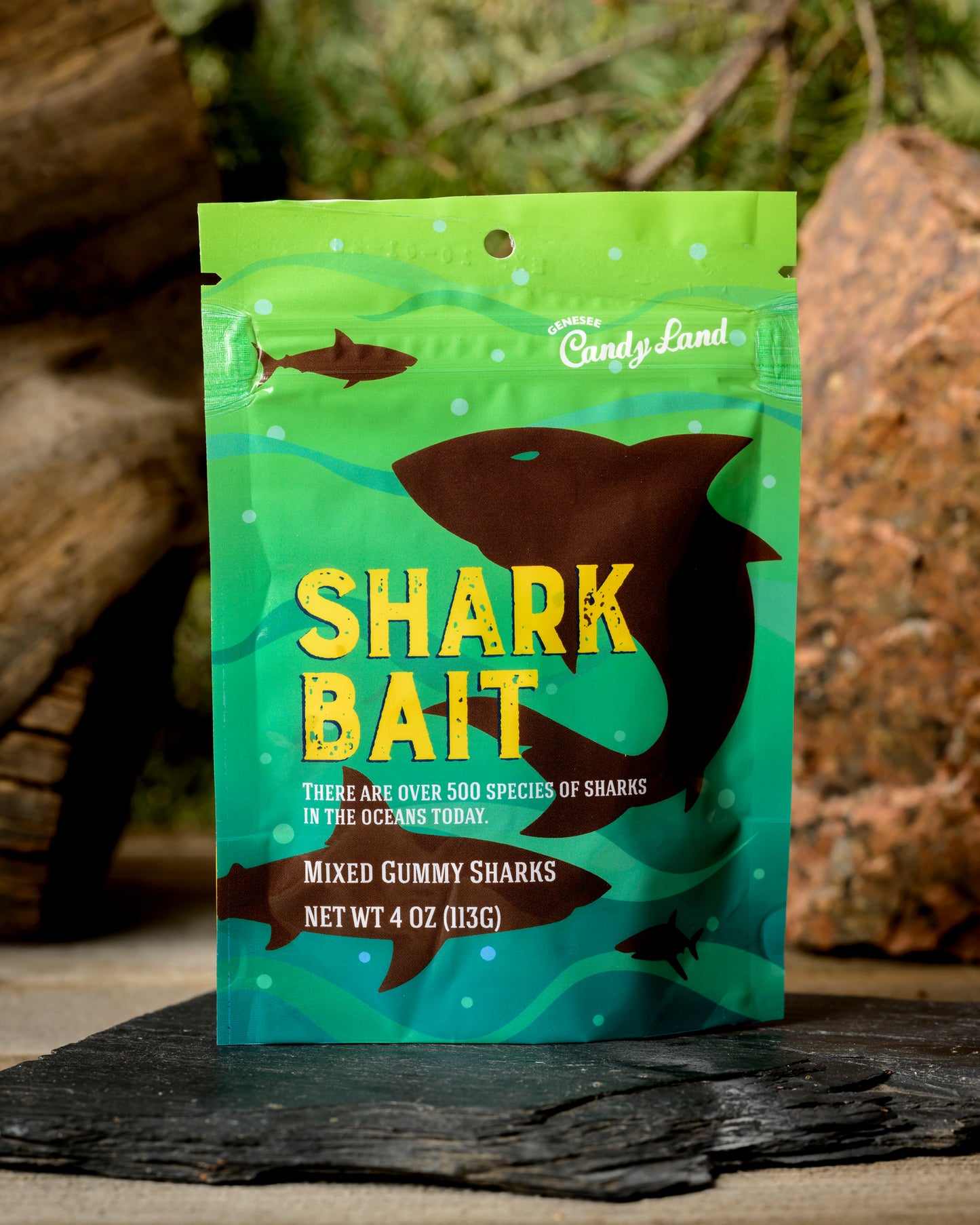 Animal Trackers Ocean Lovers Variety Pack